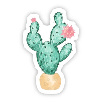 Cactus Vinyl